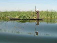 د.حسن الجنابي: ملف المياه المشتركة بين العراق وايران –الجزء الثاني: هور الحويزة من المواجهة الى آفاق التعاون