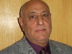 الحاجة إلى دوافع ومؤسسية تنموية تخطيطية فعّالة في العراق: نمط النمو الاقتصادي والمؤسسية التخطيطية ‏والقطاعين العام والخاص (2003 ـــ 2024)‏