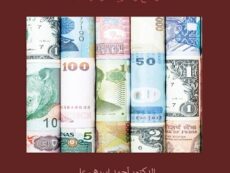د. أحمد ابريهي علي *:  كتاب (الاقتصاد النقدي – وقائع ونظريات وسياسات)