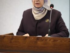 الضمانات السيادية  ودور التأمين  في حماية المالية العامة في العراق